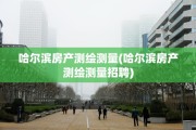 哈尔滨房产测绘测量(哈尔滨房产测绘测量招聘)