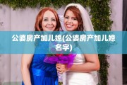 公婆房产加儿媳(公婆房产加儿媳名字)
