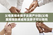 父母离婚未婚子女房产分割(父母离婚导致未成年没房子可以告吗)