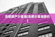 合肥房产少荃湖(合肥少荃湖房价)