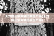 无力偿还债务会拍卖房产嘛(无力偿还债务会拍卖房产嘛)