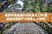 重庆市没有房产小孩怎么上学(重庆市没有房产小孩怎么上学呢)