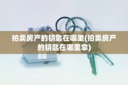拍卖房产的钥匙在哪里(拍卖房产的钥匙在哪里拿)