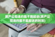房产公司违约能不能起诉(房产公司违约能不能起诉的时效)