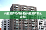 共有房产如何去名(共有房产怎么去名)