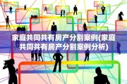 家庭共同共有房产分割案例(家庭共同共有房产分割案例分析)