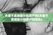 夫妻不离婚能分割房产吗(夫妻不离婚能分割房产吗现在)
