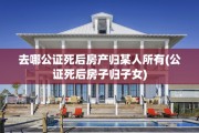 去哪公证死后房产归某人所有(公证死后房子归子女)