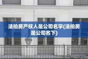 法拍房产权人是公司名字(法拍房是公司名下)