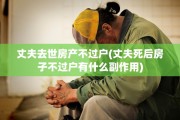 丈夫去世房产不过户(丈夫死后房子不过户有什么副作用)