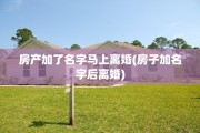 房产加了名字马上离婚(房子加名字后离婚)