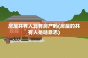 房屋共有人算有房产吗(房屋的共有人是啥意思)