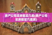 房产公司买房能买几套(房产公司买房能买几套房)