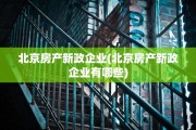 北京房产新政企业(北京房产新政企业有哪些)