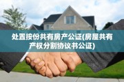 处置按份共有房产公证(房屋共有产权分割协议书公证)