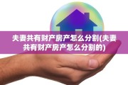 夫妻共有财产房产怎么分割(夫妻共有财产房产怎么分割的)