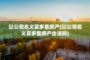 以公司名义买多套房产(以公司名义买多套房产合法吗)