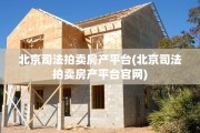 北京司法拍卖房产平台(北京司法拍卖房产平台官网)