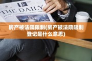 房产被法院限制(房产被法院限制登记是什么意思)