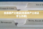 拍卖房产土地证(拍卖房产土地证怎么办理)