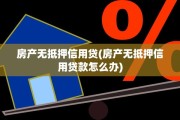 房产无抵押信用贷(房产无抵押信用贷款怎么办)