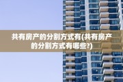 共有房产的分割方式有(共有房产的分割方式有哪些?)