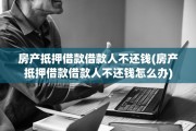 房产抵押借款借款人不还钱(房产抵押借款借款人不还钱怎么办)