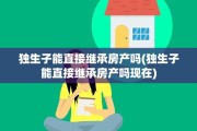 独生子能直接继承房产吗(独生子能直接继承房产吗现在)