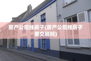 房产公司挂房子(房产公司挂房子要交税吗)