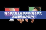 两个子女怎么继承房产(两个子女怎么继承房产过户)