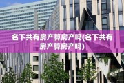 名下共有房产算房产吗(名下共有房产算房产吗)