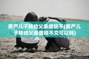 房产儿子转给父亲缴税不(房产儿子转给父亲缴税不交可以吗)