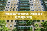 兄弟间房产低价转让(兄弟间房子过户费多少钱)