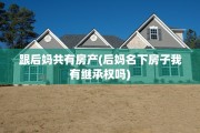 跟后妈共有房产(后妈名下房子我有继承权吗)