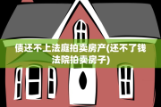 债还不上法庭拍卖房产(还不了钱法院拍卖房子)