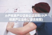 小产权房产公证处公证流程(小产权房产公证处公证流程图)