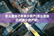 怎么查自己有多少房产(怎么查自己有多少房产啊)
