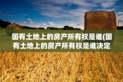 国有土地上的房产所有权是谁(国有土地上的房产所有权是谁决定的)