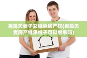 再婚夫妻子女继承房产权(再婚夫妻房产继承继子可以继承吗)
