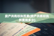 房产共有权执照费(房产共有权执照费用多少)