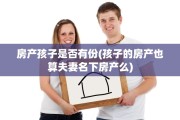 房产孩子是否有份(孩子的房产也算夫妻名下房产么)