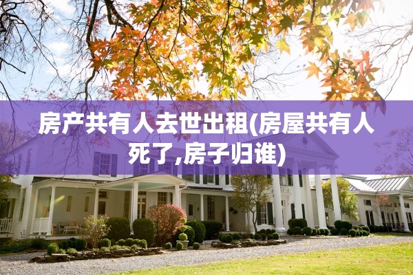 房产共有人去世出租(房屋共有人死了,房子归谁)