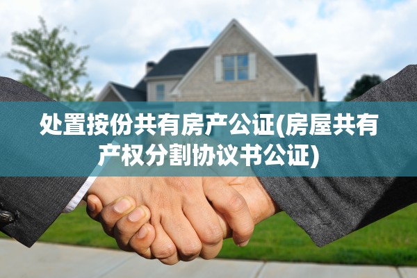 处置按份共有房产公证(房屋共有产权分割协议书公证)