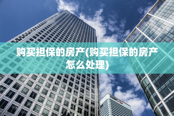 购买担保的房产(购买担保的房产怎么处理)