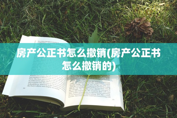 房产公正书怎么撤销(房产公正书怎么撤销的)