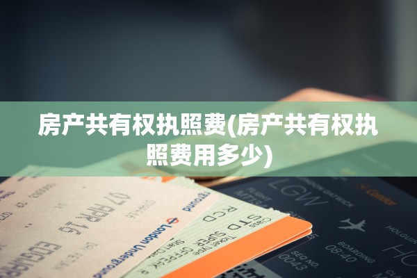 房产共有权执照费(房产共有权执照费用多少)