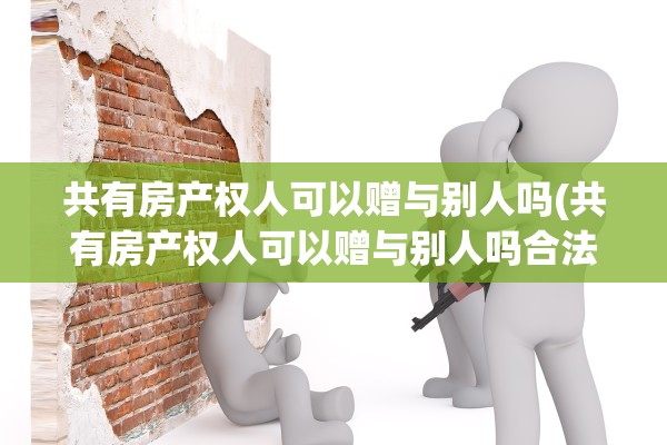 共有房产权人可以赠与别人吗(共有房产权人可以赠与别人吗合法吗)