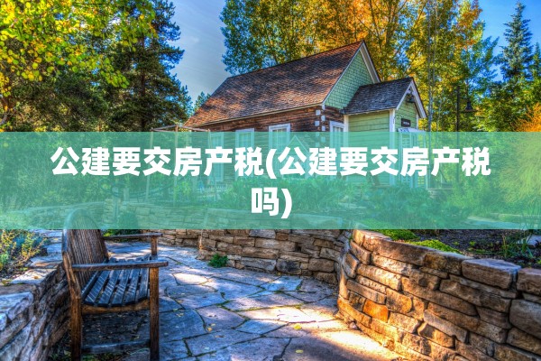 公建要交房产税(公建要交房产税吗)