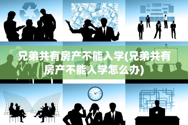 兄弟共有房产不能入学(兄弟共有房产不能入学怎么办)