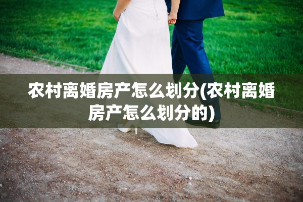 农村离婚房产怎么划分(农村离婚房产怎么划分的)